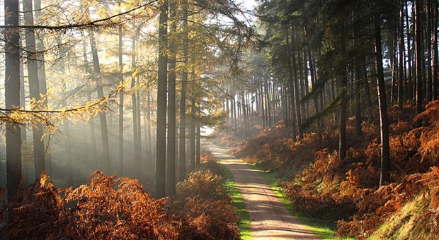 Take a journey of discovery through England..