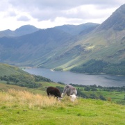 The Buttermere in the Lake District, Cumbria - AUGUST 2004