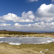 On top of Hergest Ridge, March 2006, Kington, Herefordshire.