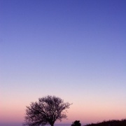 Winter sunset, Kington Golf Course, Bradnor Hill, Kington, Herefordshire.