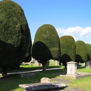 Churchyard, Painswick, Gloucestershire.