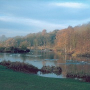 Hanley forest park, Stoke-on-Trent, Staffordshire