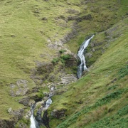 The middle section of Moss Force