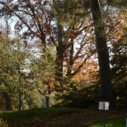Autumn colours at Hergest Croft