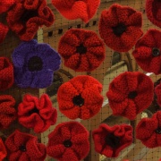 Knitted Remembrance Poppies in the Church, Monyash, Derbyshire