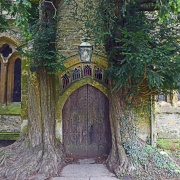 Ancient Yew trees each side of the Northj Porch, St. Edward's Church Stow on the Wold