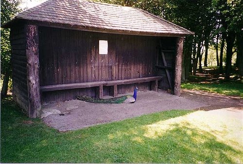 A picture of Whipsnade Wild Animal Park