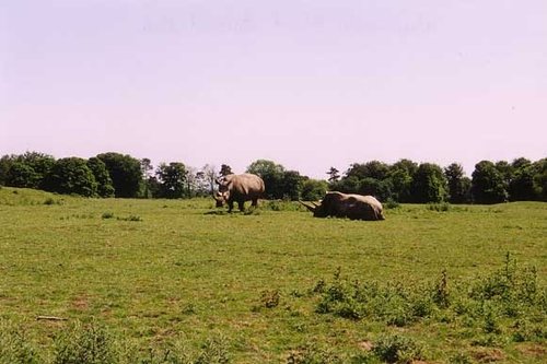 A picture of Whipsnade Wild Animal Park