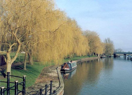 The River Cam at Ely, Cambridgeshire