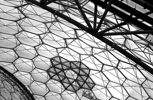 A picture of The Eden Project