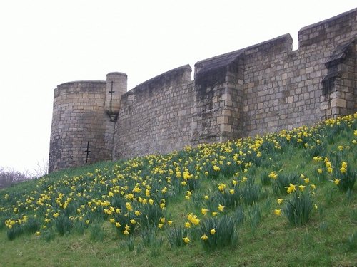 York City Walls