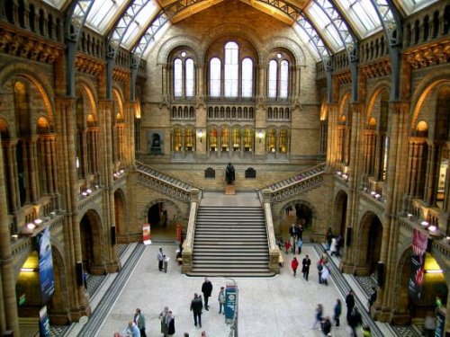 The natural History Museum
