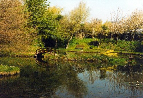 Bennets Water Gardens