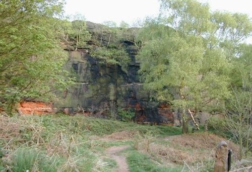 Runcorn Hill Nature Park and Reserve