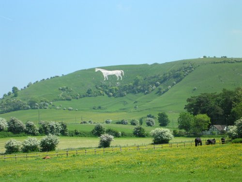 Westbury white horse
