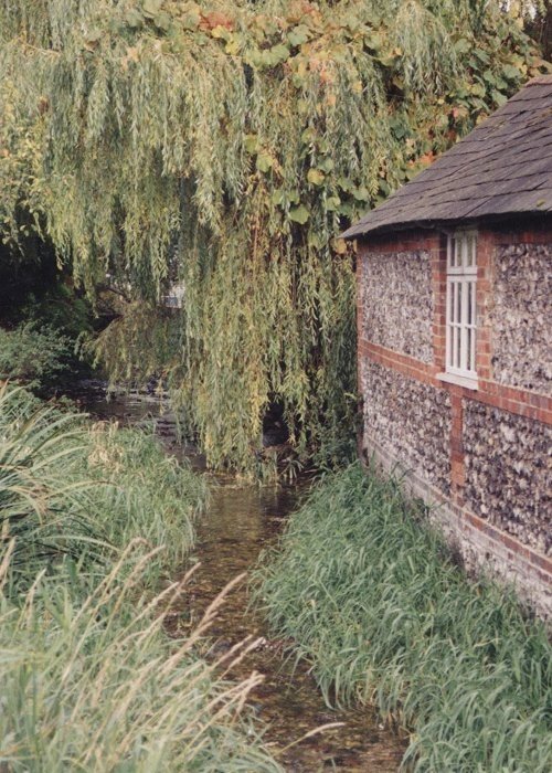 St Mary Bourne Village Stream, Hampshire