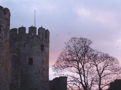 Conwy Castle at sunset