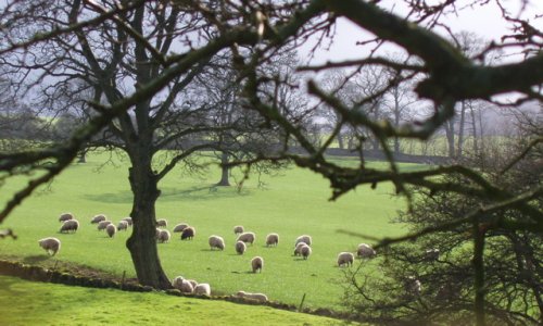 Rylestone, North Yorkshire: The surrounding Yorkshire Dales