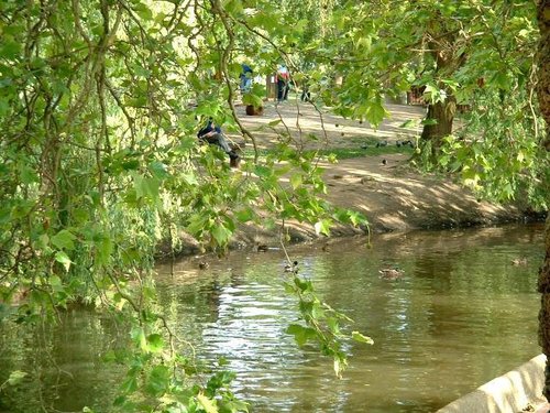 Weyside Duck Feeding Area