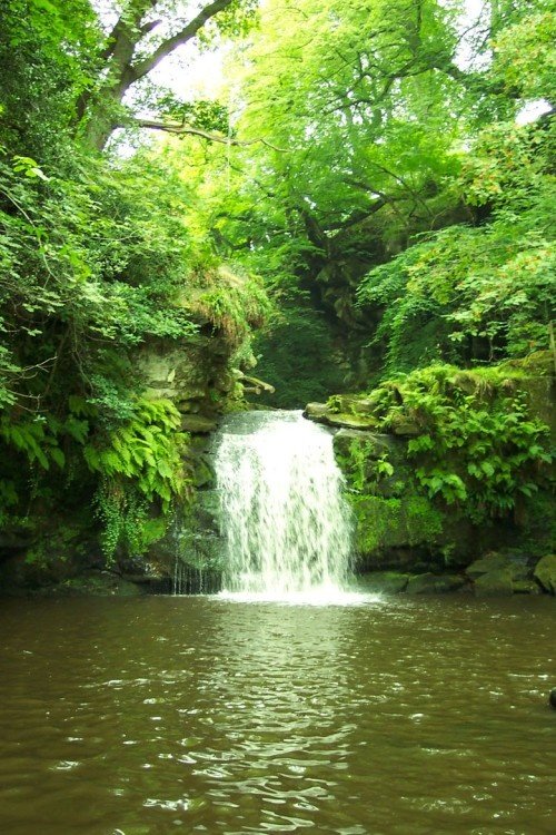 Thomason Foss Waterfall, Beck Hole, Goathland, North Yorkshire Moors