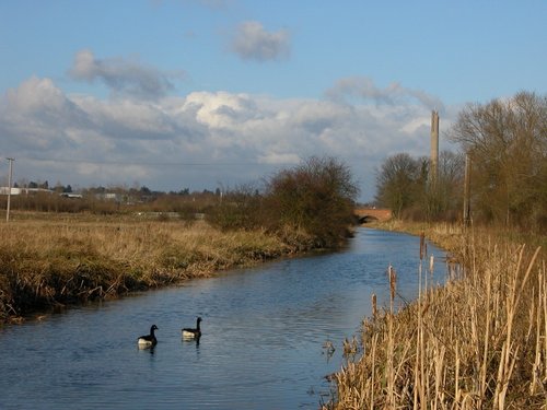 Grand union canal, Northampton branch.