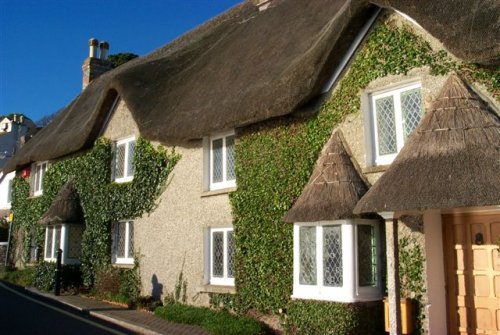 Thatched roof cottages at St Mawes, Cornwall
