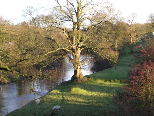 The River Calder at Great Harwood, Lancashire