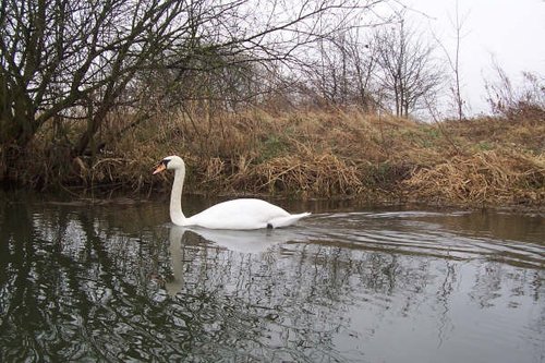 Ferry Meadows