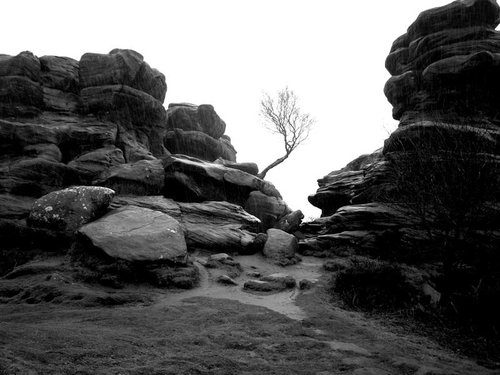 Brimham Rocks Rainy Day