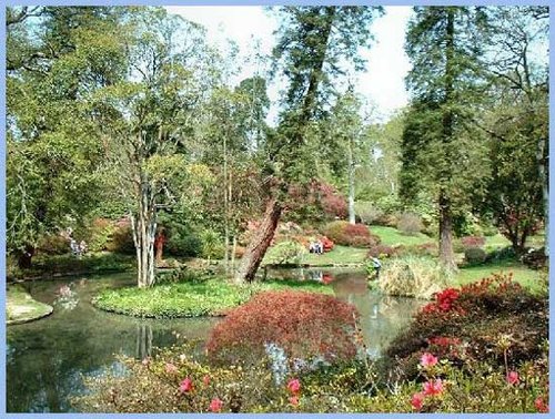 Pond and Island. Exbury Gardens 2004