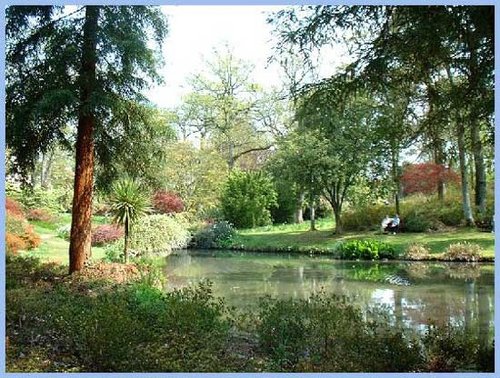 Pond at Exbury Gardens