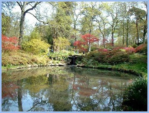 Pond at Exbury Gardens