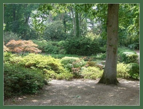 Exbury Gardens, Hampshire.  England