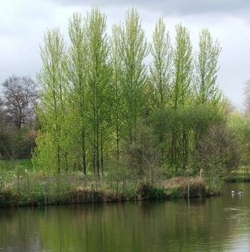 The Lake at Lakeside Park Eastleigh, Hampshire