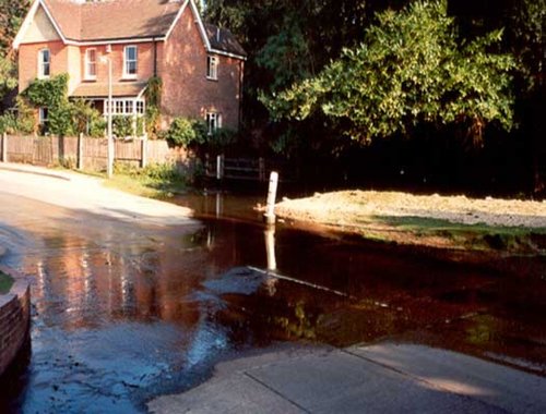 Brockenhurst, Hampshire