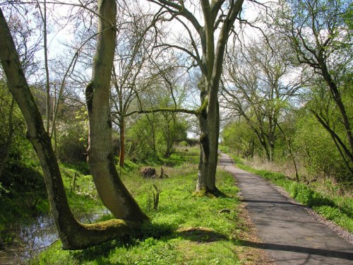 Remains of Canal, Chippenham, Wiltshire. Spring 2005