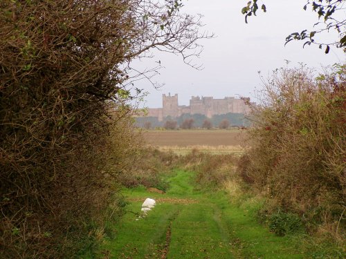 Bamburgh Castle, Northumberland, from a green lane - November 2004