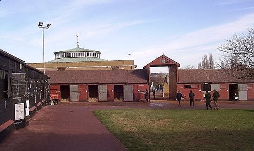 Tattersalls Horse Auctions, Newmarket 2003