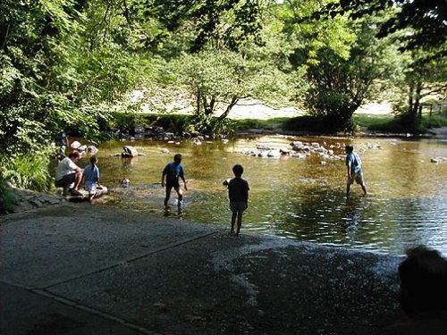 Enjoying the summer, Exmoor, Devon