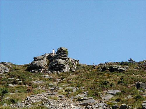 Valley of the Rocks, North Devon