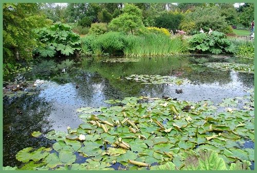 Hyde Hall Gardens