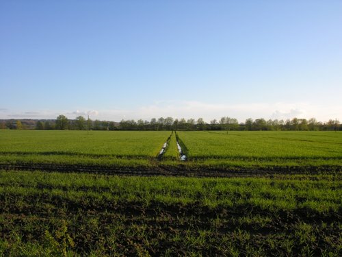 Penrose area fields