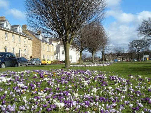 The Stray, Harrogate, North Yorkshire. 2005