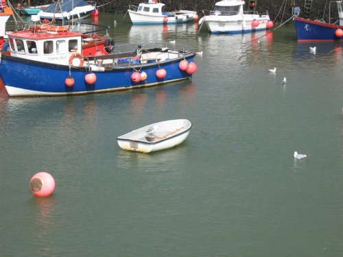 Seagulls in the harbour