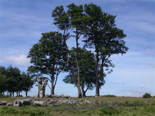 Quantock hills