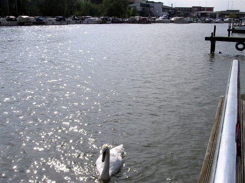 Brayford Wharf, Lincoln