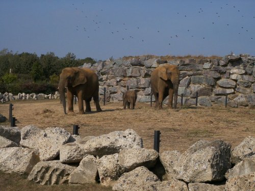 Colchester Zoo