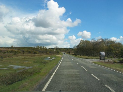 New Forest National Park