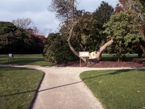 Lost Gardens of Heligan, Mevagissey, Cornwall