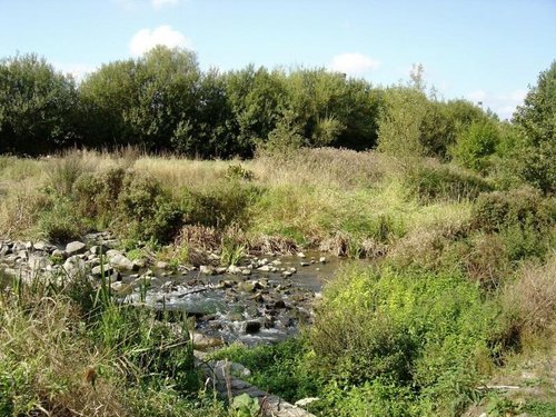 River Biss in riverside walk